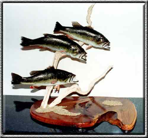 Fish mounts